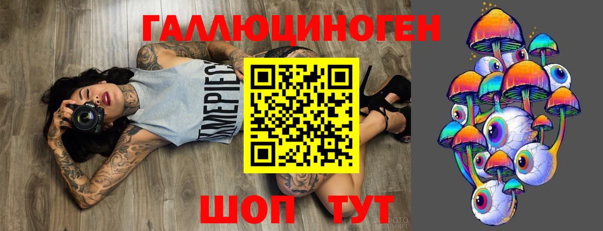 Галлюциногенные грибы MAGIC MUSHROOMS  Вход с VPN  Мыски 