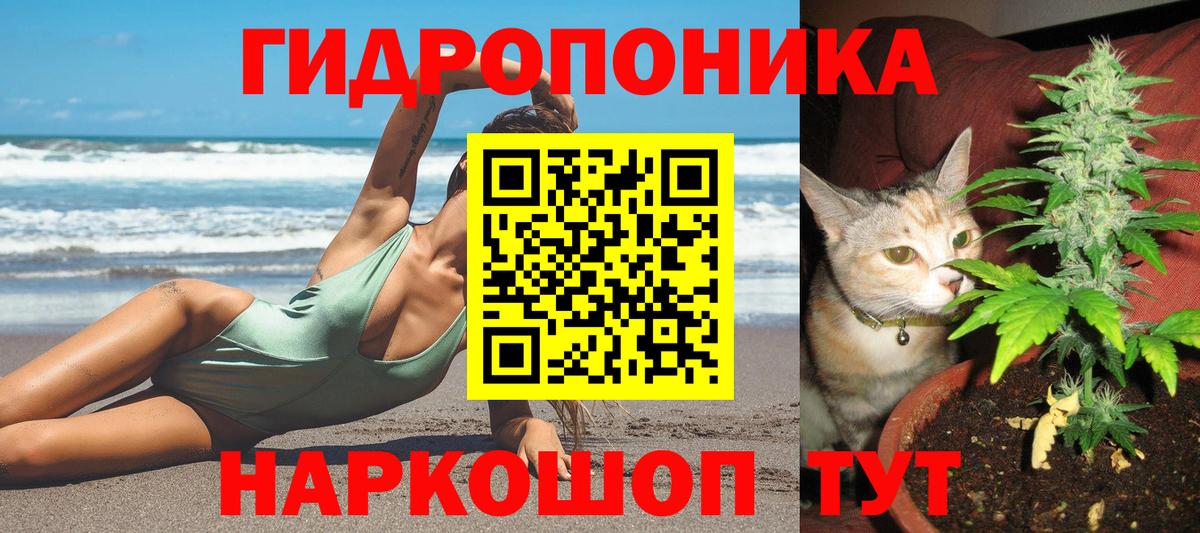 Бошки Шишки SATIVA & INDICA  Вход с VPN  Шишки марихуана марихуана  Канабис Bruce Banner  Мыски  Каннабис Amnesia 